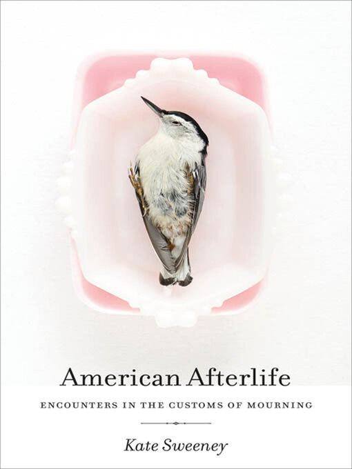 Title details for American Afterlife by Kate Sweeney - Available